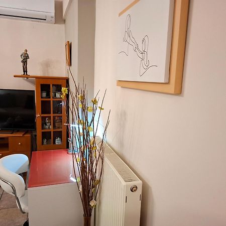 Απέριττον 2 Apartment Tríkala Exterior foto
